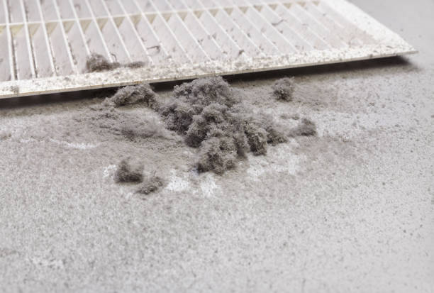 Best Ventilation Cleaning Services  in Mount Vernon, GA