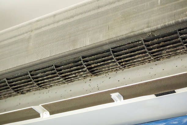 Best Air Quality Test  in Mount Vernon, GA